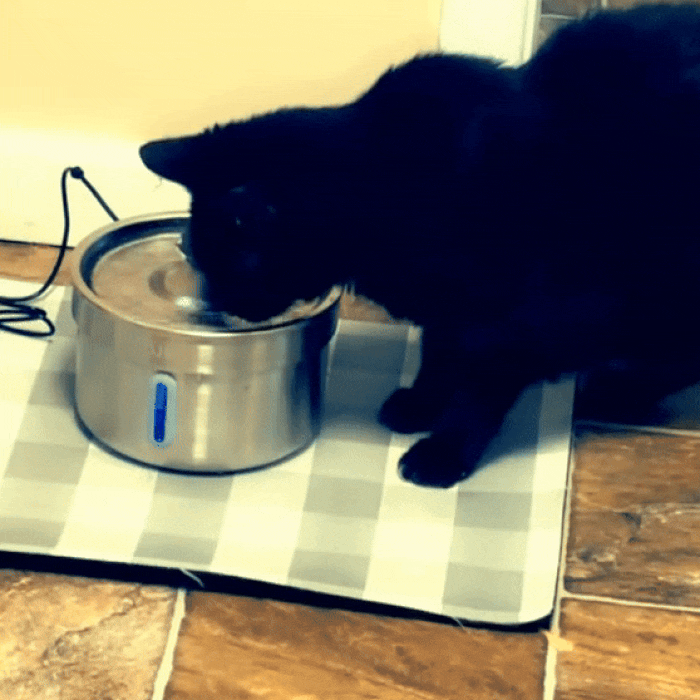 Stainless Steel Pet Water Fountain 3.2L | Quiet Flow Cat Drinking Fountain with Filter