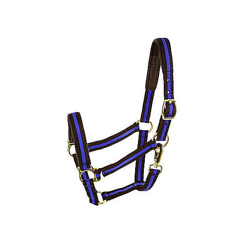 Comfort Padded Halter with Snap Pony Blue