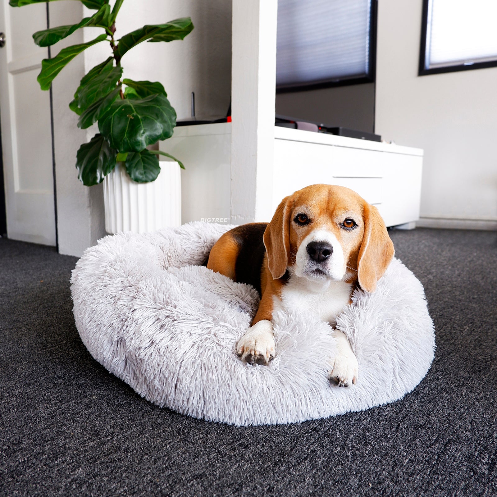 Dog Cat Donut Plush Pet Beds Cozy Round Washable Mattress Gray M