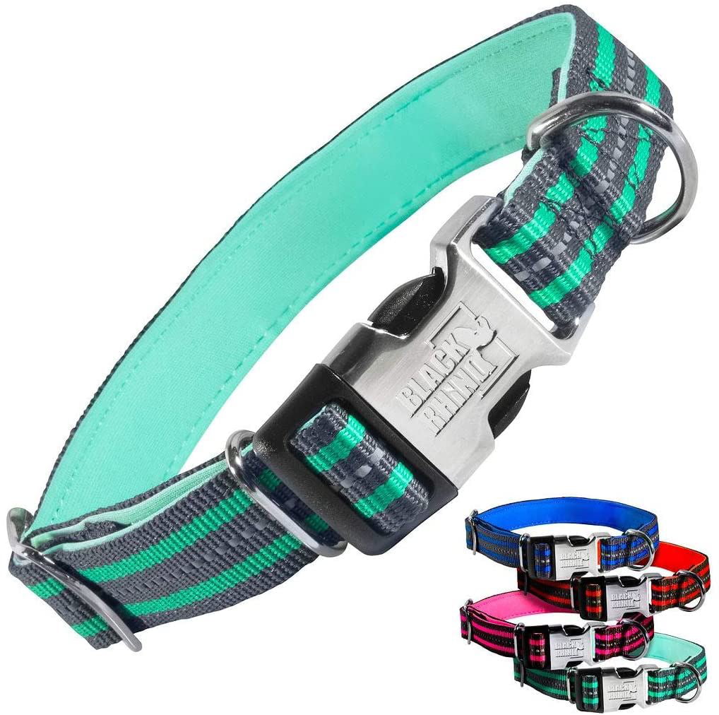 Black Rhino - Classic Striped Adjustable Dog Collar for Small Medium Large Breeds | 3m Reflective Threading | 4 Bright Colors - Matching Leashes Sold Separately (Aqua Striped， Large)
