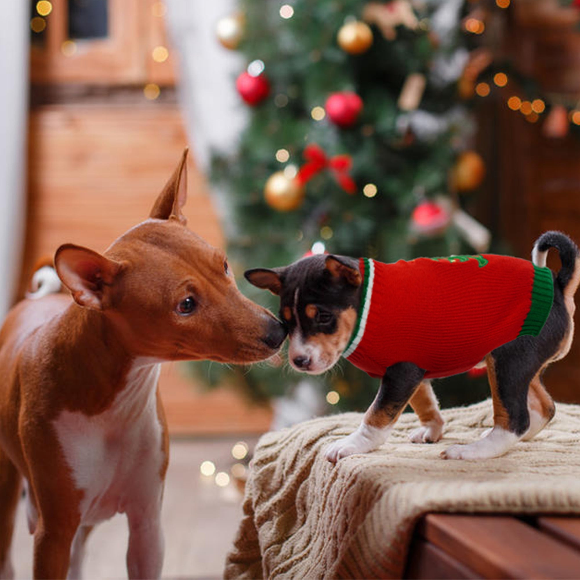 QBLEEV Dog Sweater Christmas Cartoon Christmas Tree Red Pet Cat Winter Knitwear Warm Clothes