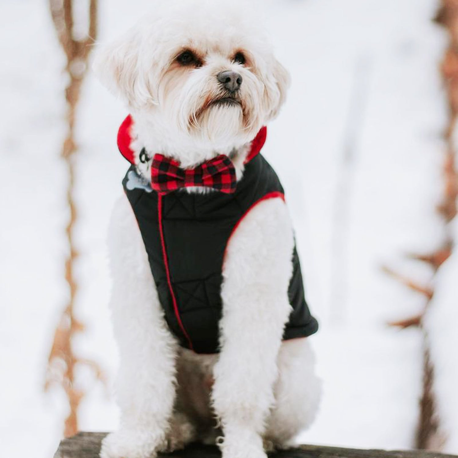Gooby Sports Dog Vest - Black， Large - Fleece Lined Dog Jacket Coat with D Ring Leash - Reflective Vest Small Dog Sweater， Hook and Loop Closure - Dog Clothes for Small Dogs Indoor and Outdoor Use
