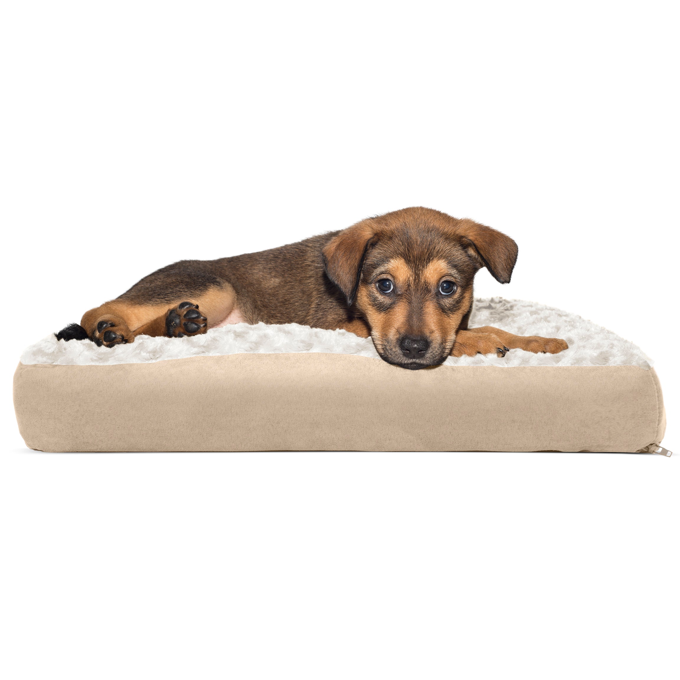 FurHaven Pet Products | Deluxe Plush Pillow Pet Bed for Dogs and Cats， Cream， Small