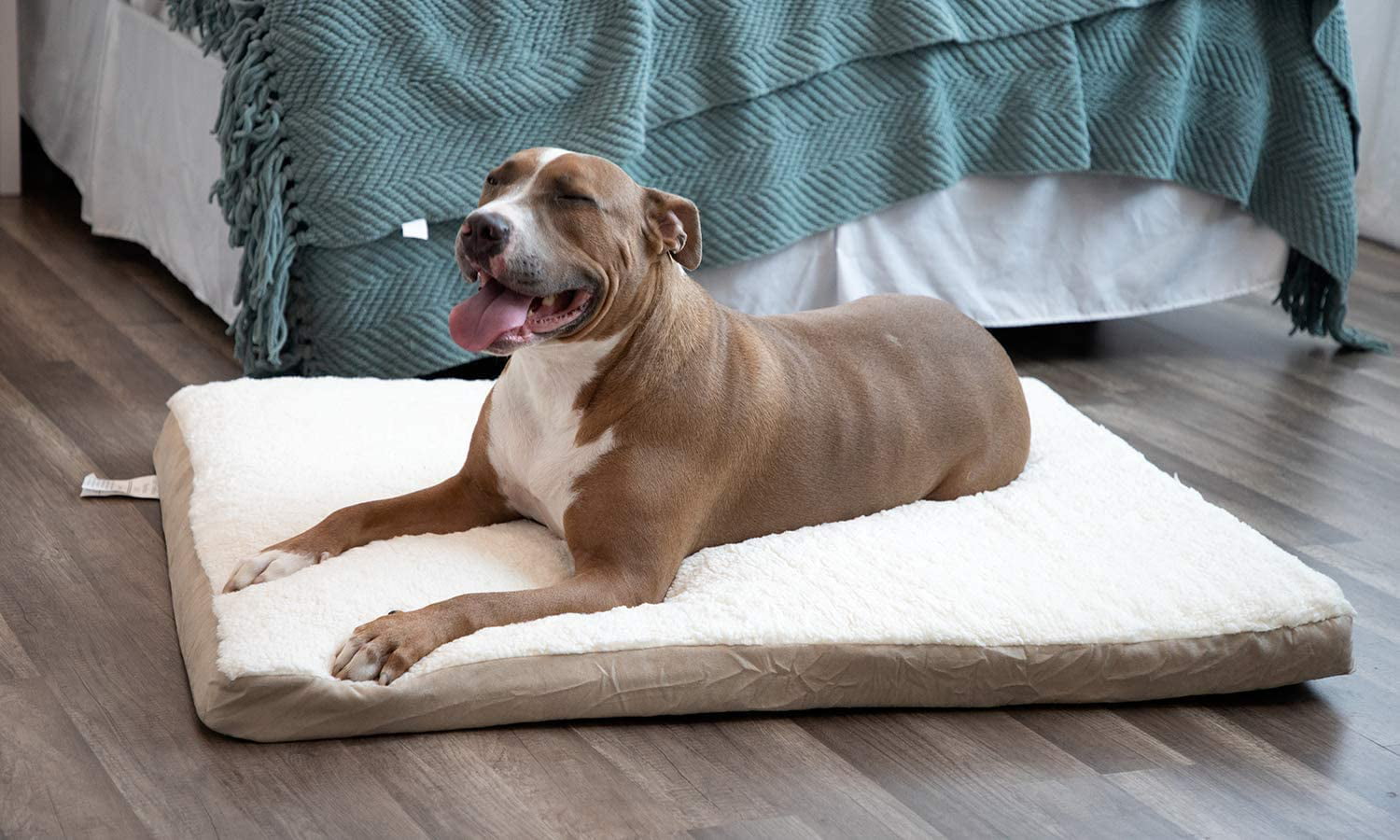 Paws and Pals Orthopedic Pet Bed Foam-Mattress Dogs and Cats (Medium 30 Long x 20 Wide)