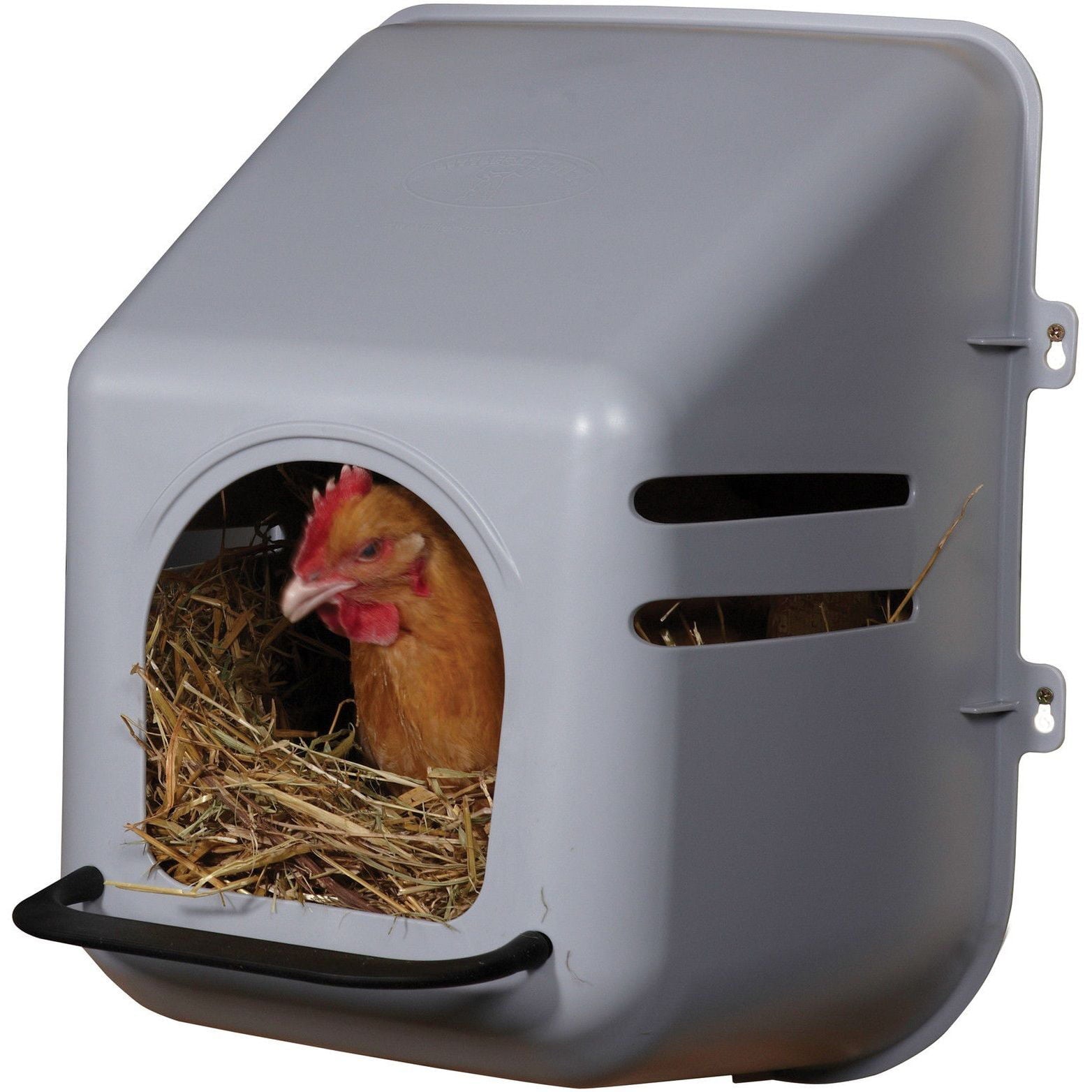 LARGE WALL MOUNT NESTING NEST BOX WITH PERCH FOR CHICKEN COOP HEN HOUSE POULTRY