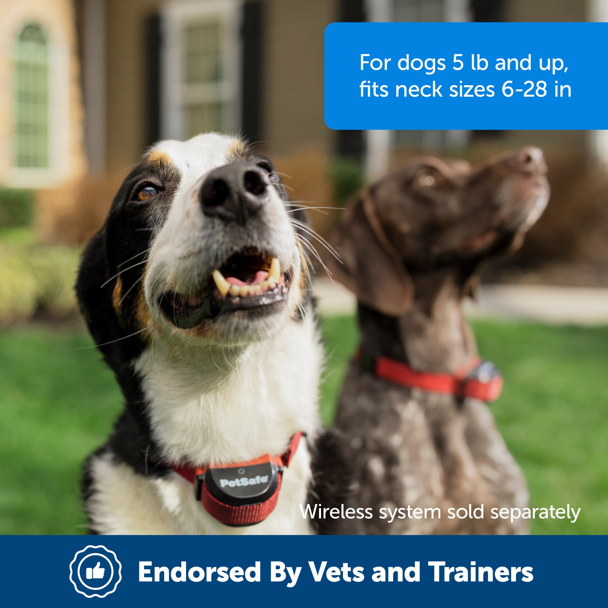 PetSafe Stubborn Dog Stay and Play Wireless Fence Receiver Collar， Waterproof， Rechargeable