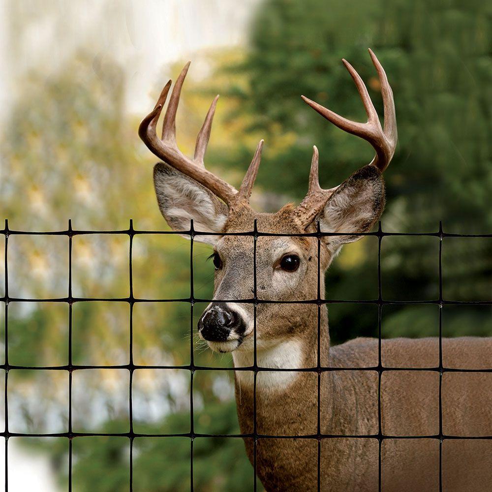 Tenax Deer Fence Select 6 ft. x 100 ft., Black, 1A120243