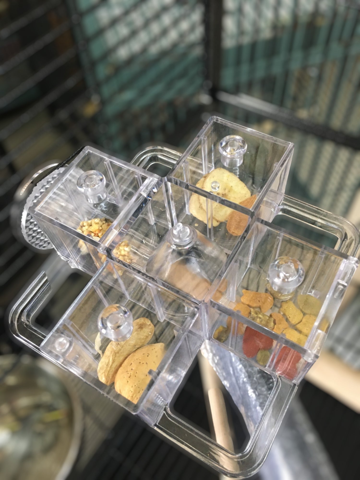 CFS 4 Corner Cage Mount Featherland Paradise