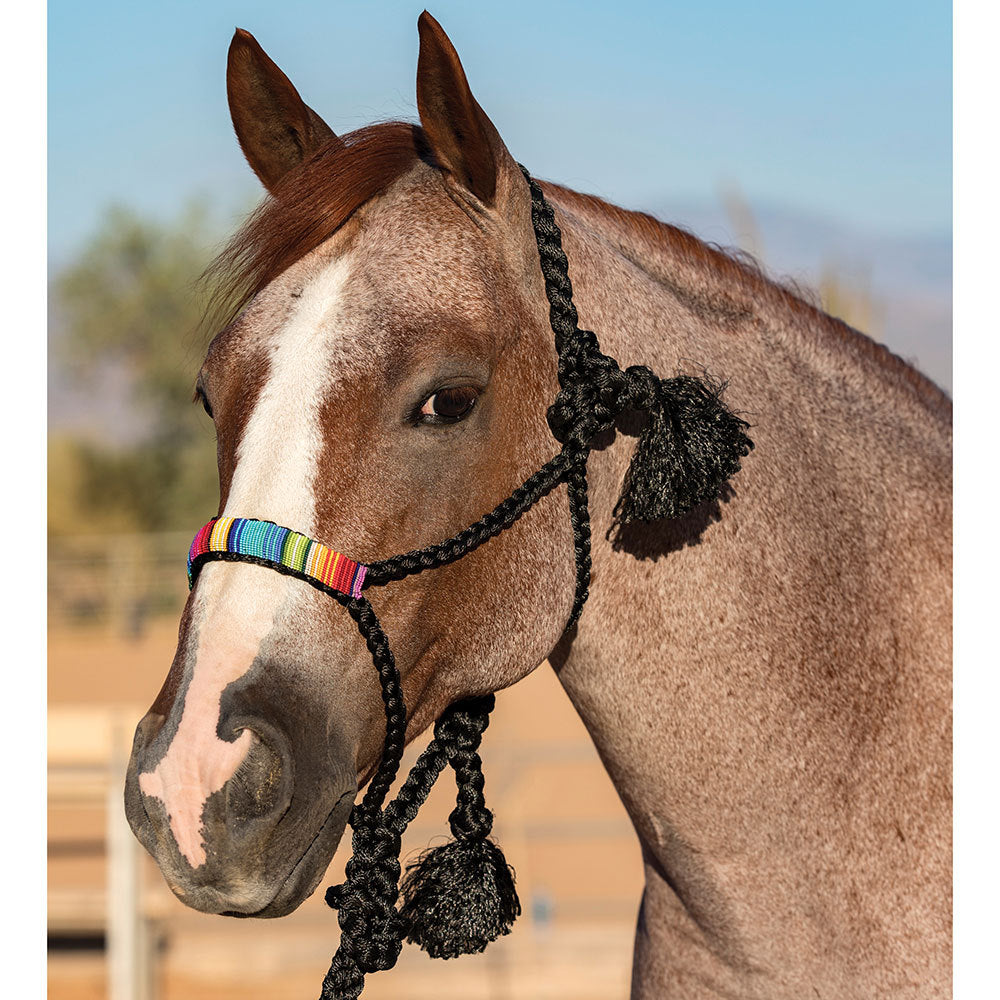 Professional's Choice Cowboy Braided Halter w/Lead Black