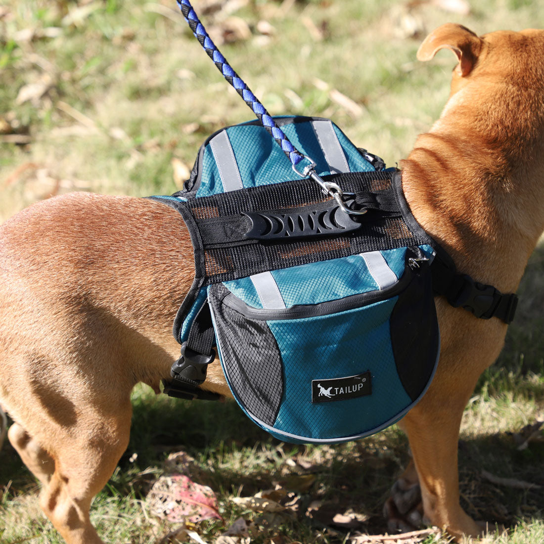 Unique Bargains Dog Pet Backpack Carrier Saddle Bag Outdoor Blue L