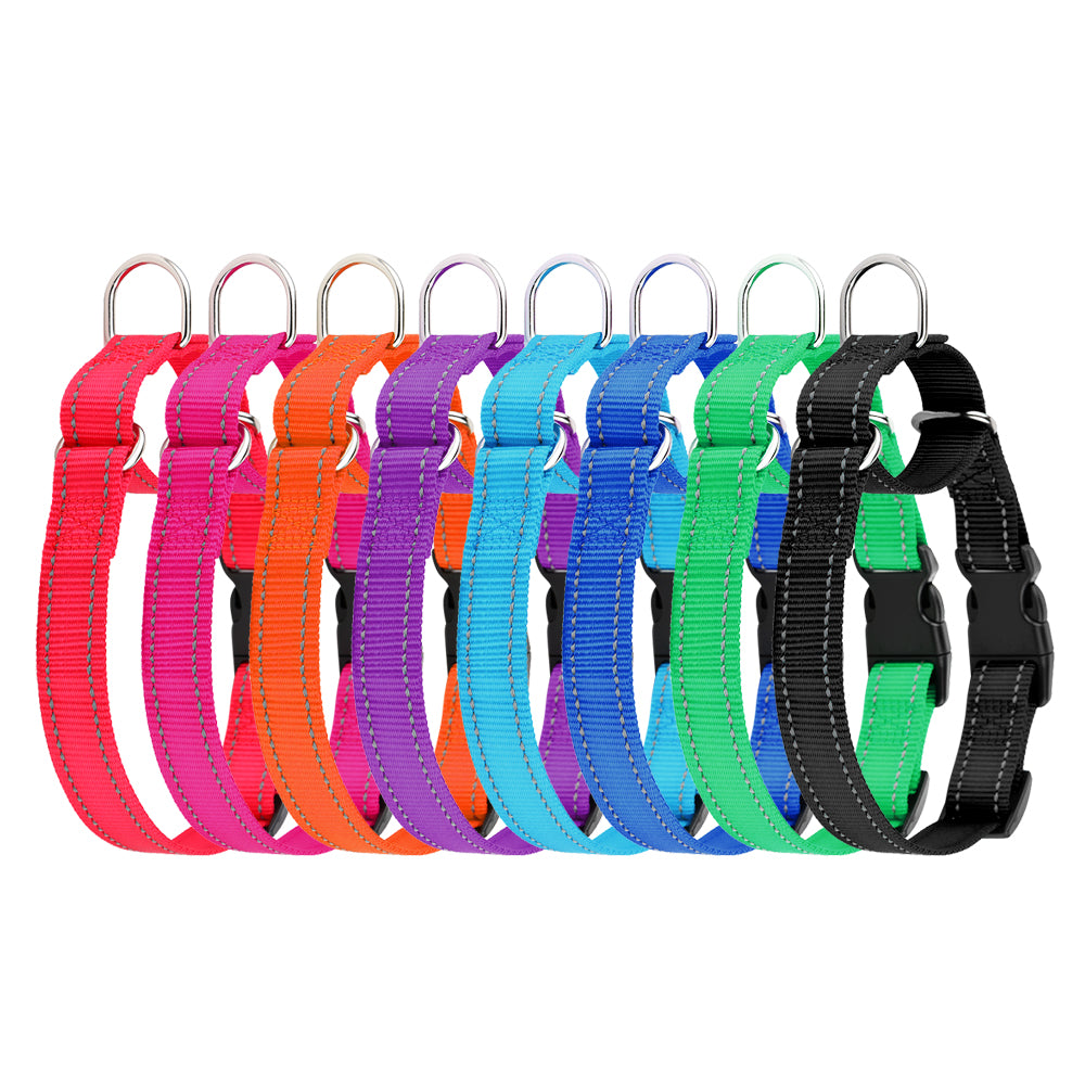 Plutus Pet Reflective Martingale Collar with Quick Snap Buckle