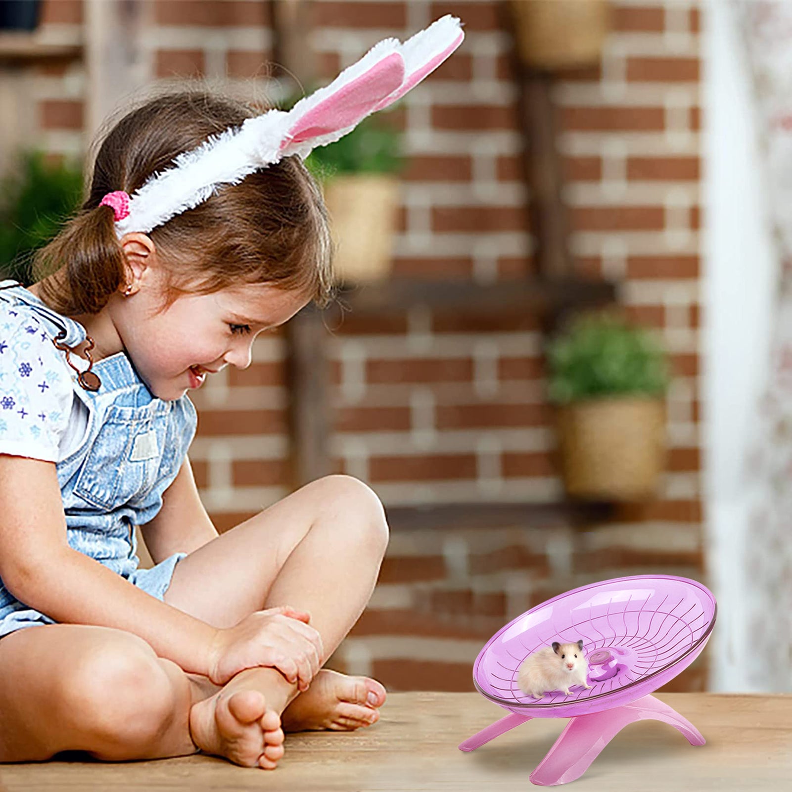 ASENKU Hamster Wheel，Super Silent Hamster Flying Saucer，Exercise Wheel and Running Wheel for Dwarf Hamster，Gerbil Rat and Small Animals