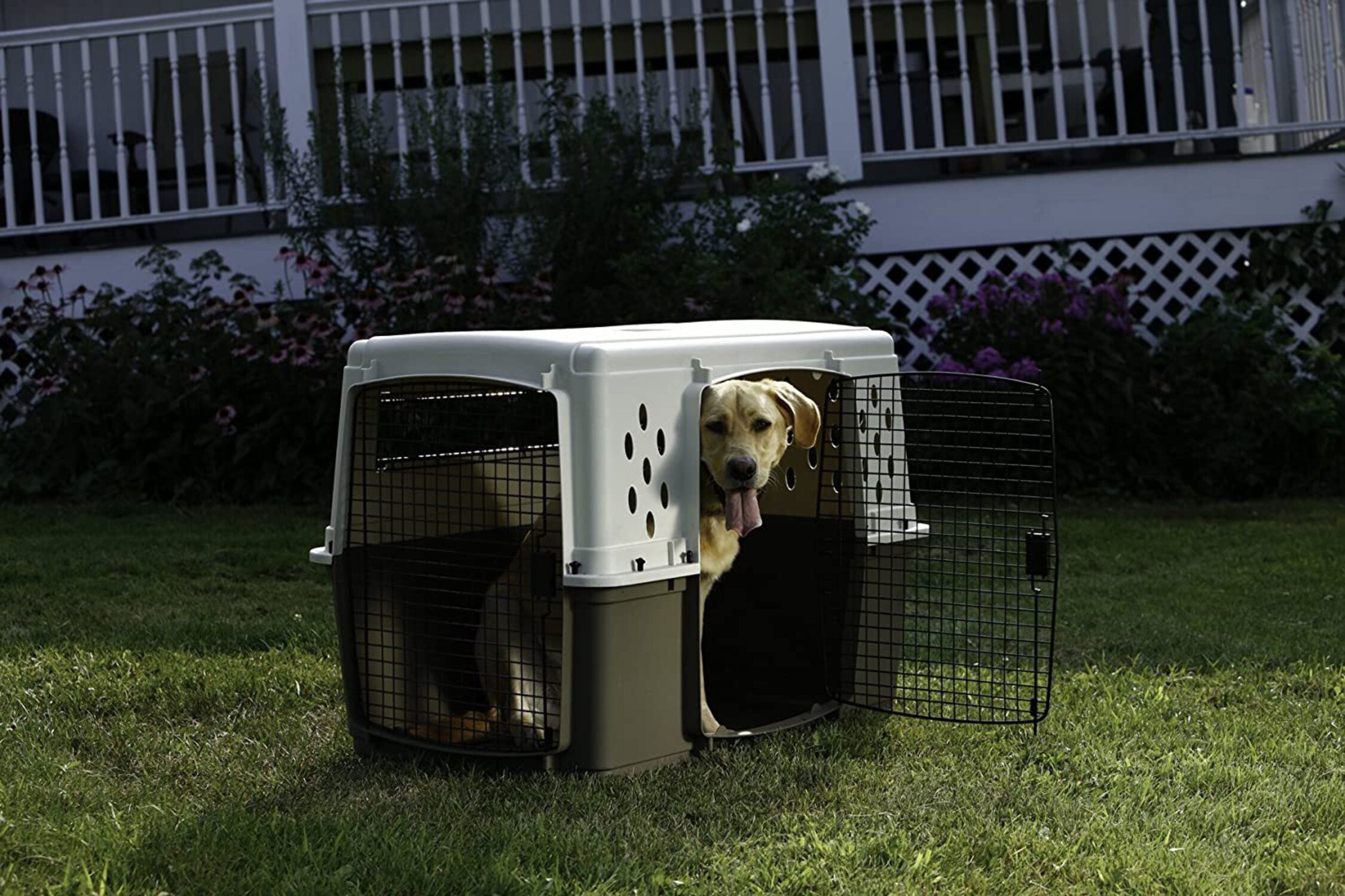 Miller Manufacturing 405073222 - 30 x 27 x 41 in. Extra Large Plastic Pet Crate