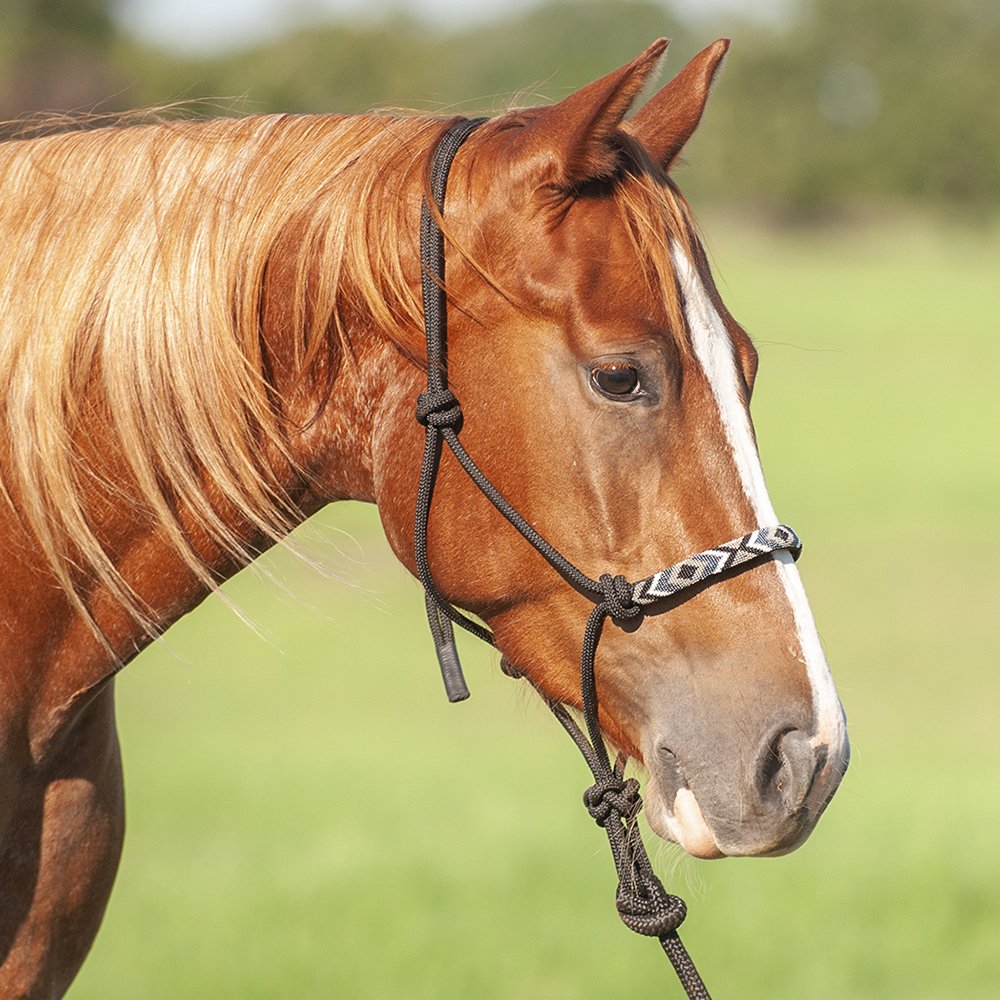 Cashel Beaded Nose Rope Halter w/9ft Lead Black