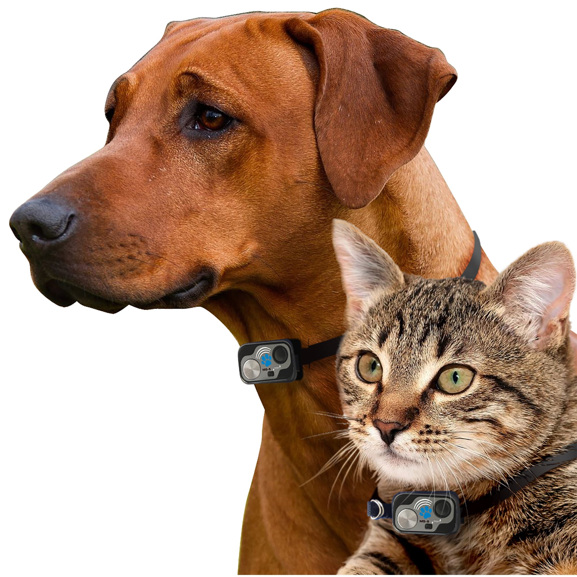 High Tech Pet Power Pet Large Patio Panel， Low E， Regular