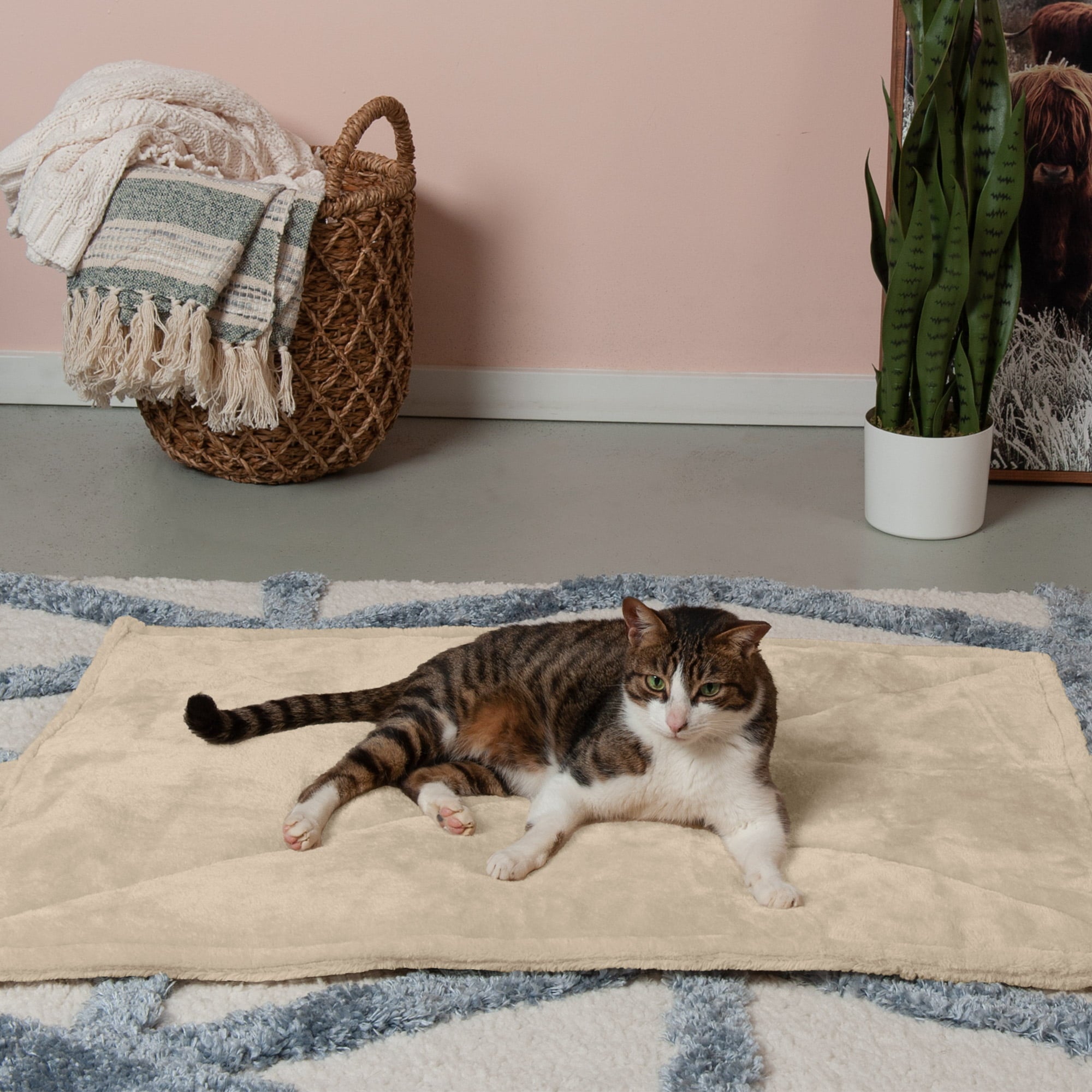 FurHaven | ThermaNAP Faux Fur Self-Warming Pet Bed Mat， Cream， Small