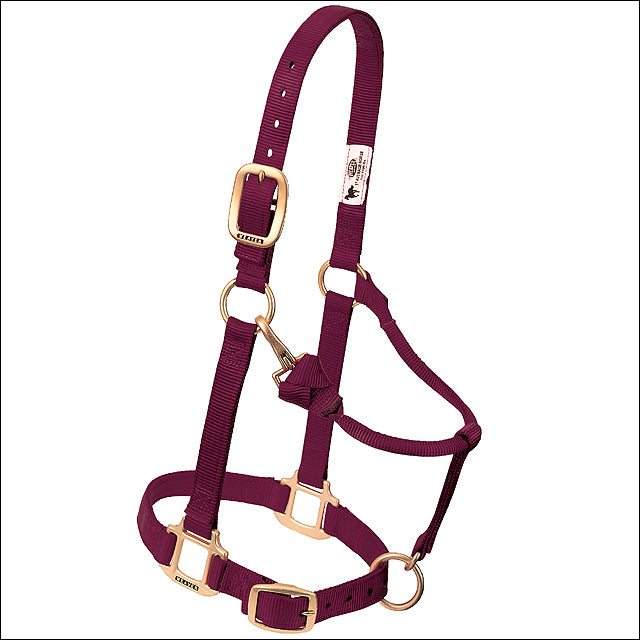Weaver Burgundy Horse Nylon Heat Sealed Buckle Halter Adjustable Small Horse