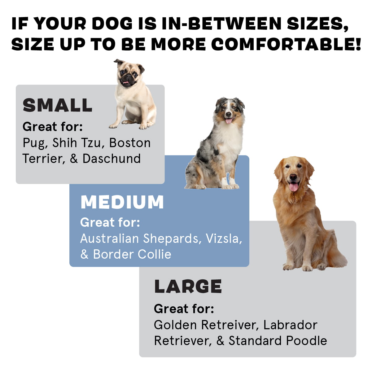 BARK 2-in-1 Memory Foam Cuddler Dog Bed | Plush Orthopedic Joint Relief Crate Lounger or Donut Pillow Bed， Machine Washable + Removable Cover | Waterproof Lining | Includes Toy