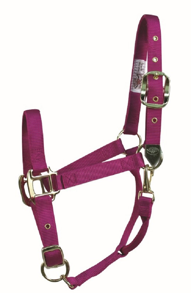 Western Rawhide Signature Classic Halter with Snap - Yearling - Fuschia - with Brass coloured Zinc Die Cast Hardware