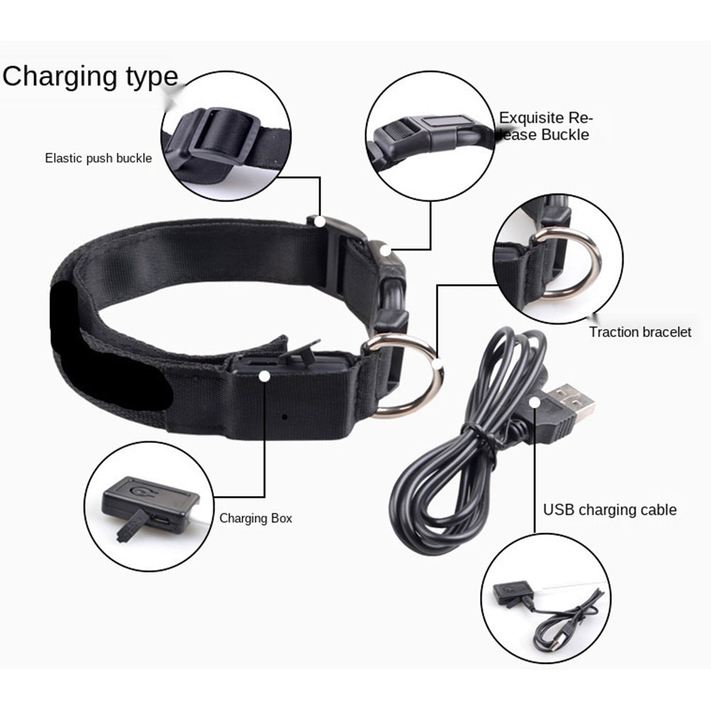 Light Up Dog Collars-LED Dog Collar Rechargeable Lighted Dog Collar Waterproof Night Walking Glow Collar for Dogs (S， Green)