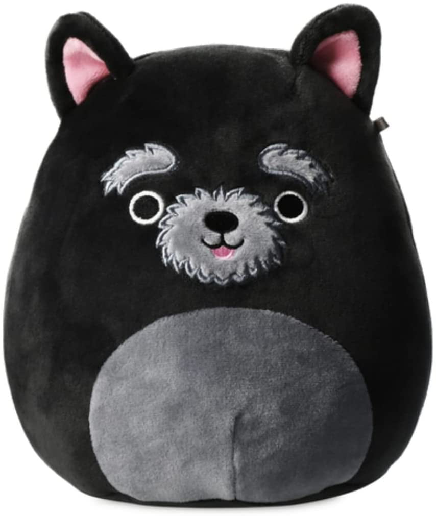 Squishmallows Official Kellytoy Plush 7.5 Inch Squishy Stuffed Toy Animal (Chuy Cairn Terrier)