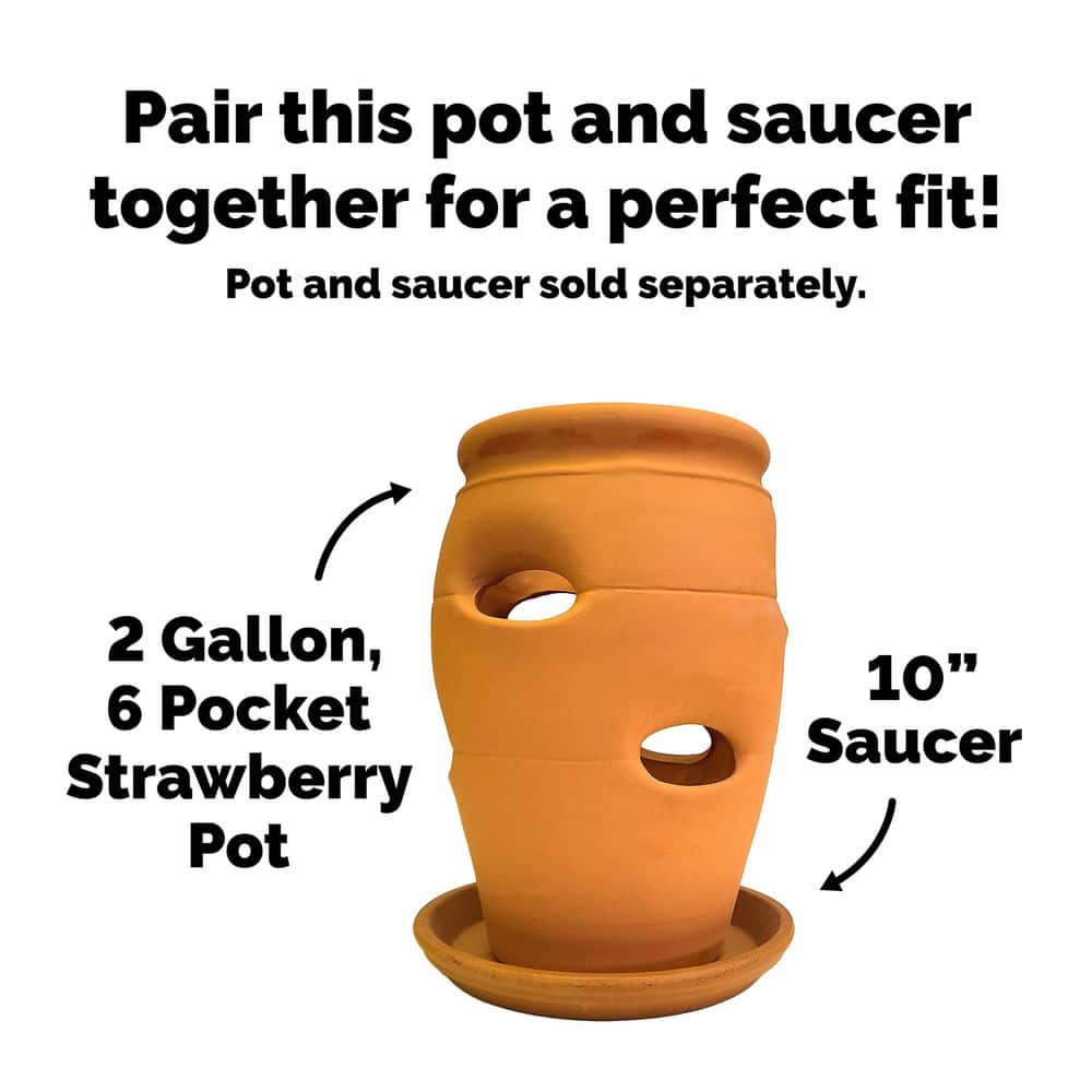 Pennington 2 Gal. 6 Pocket Terra Cotta Strawberry Pot 100043142