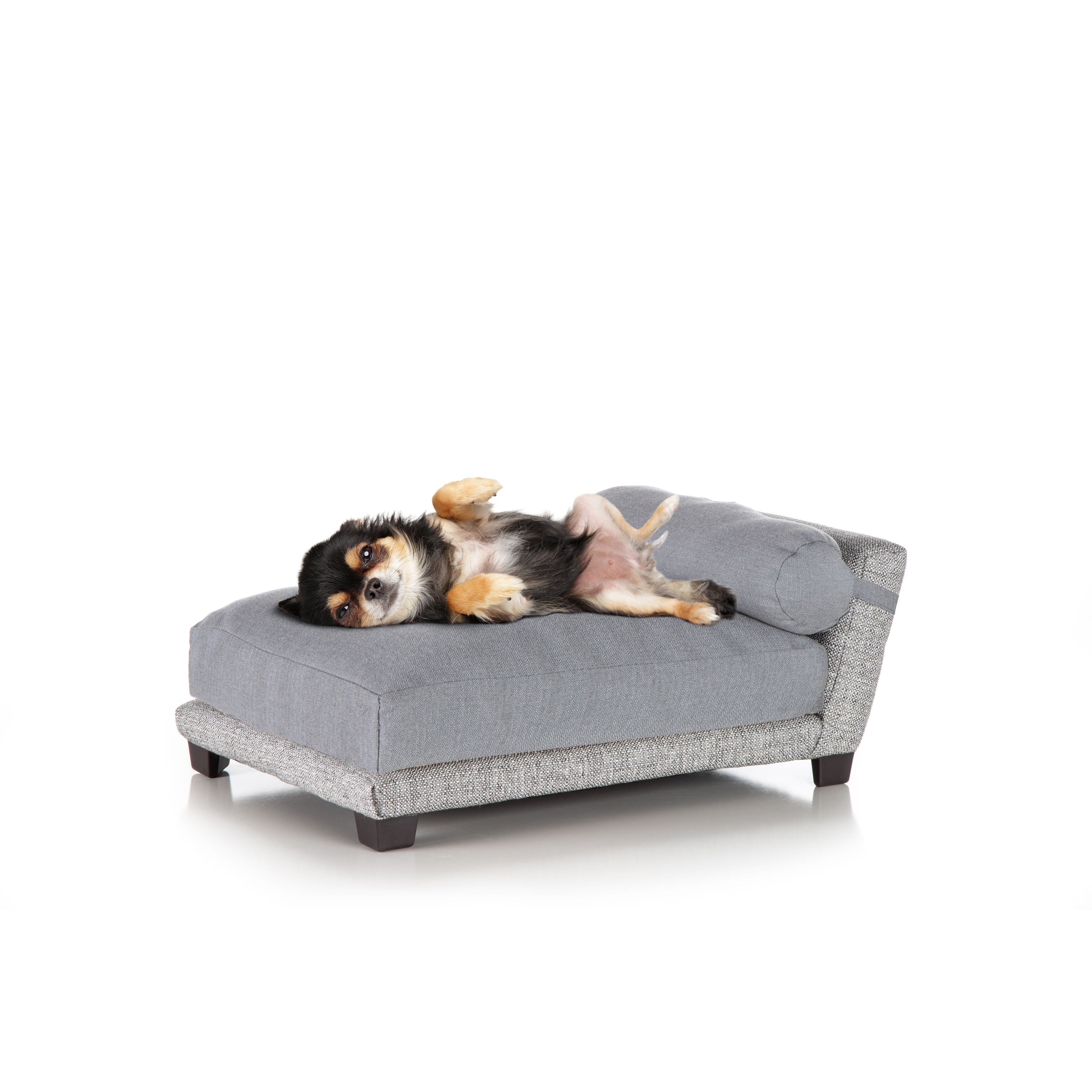 Club Nine Pets Bada Orthopedic Dog Bed， Large， Silver.