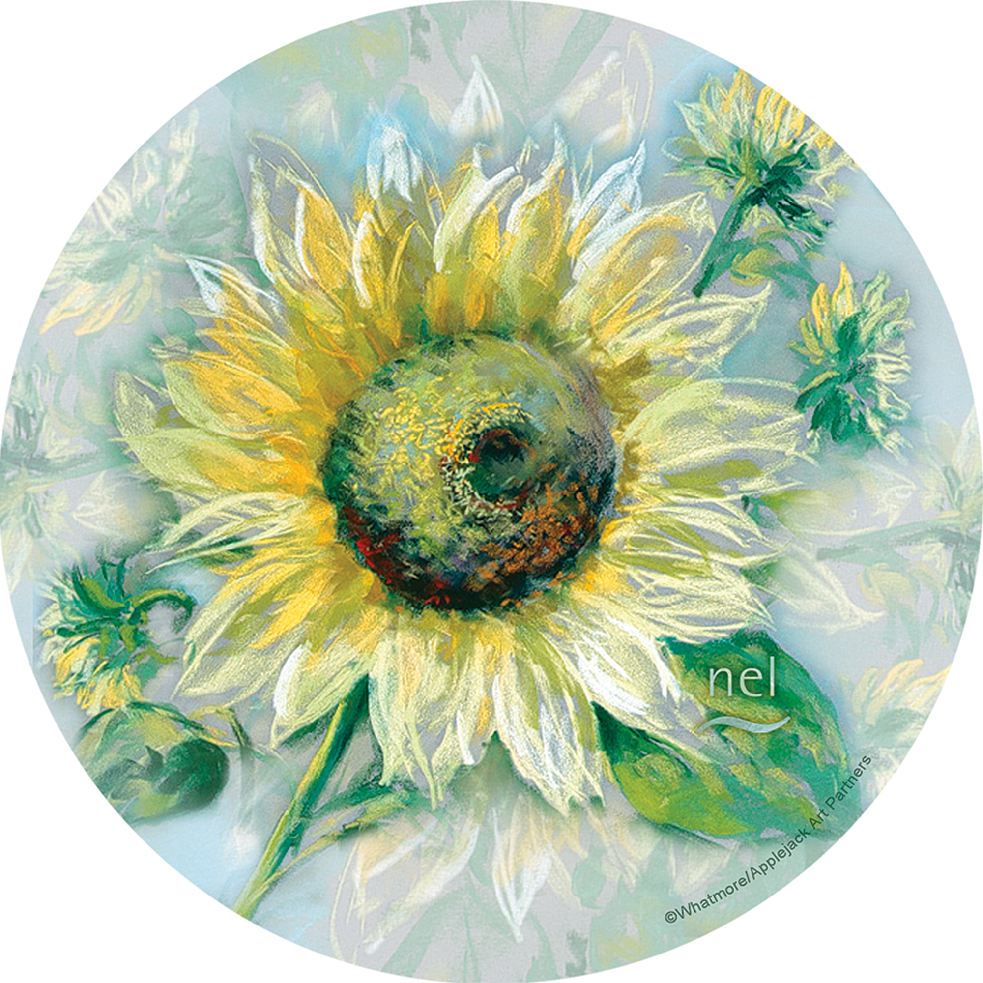 Thirstystone Occasions Drink Coasters， Sun Queen
