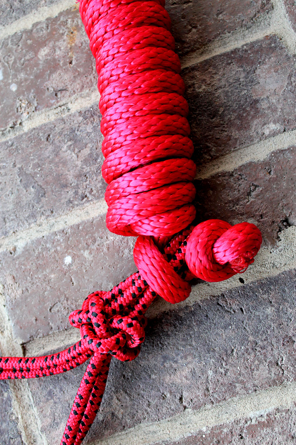 Horse Nylon HALTER Lead Rope Bling Tack Noseband  60644