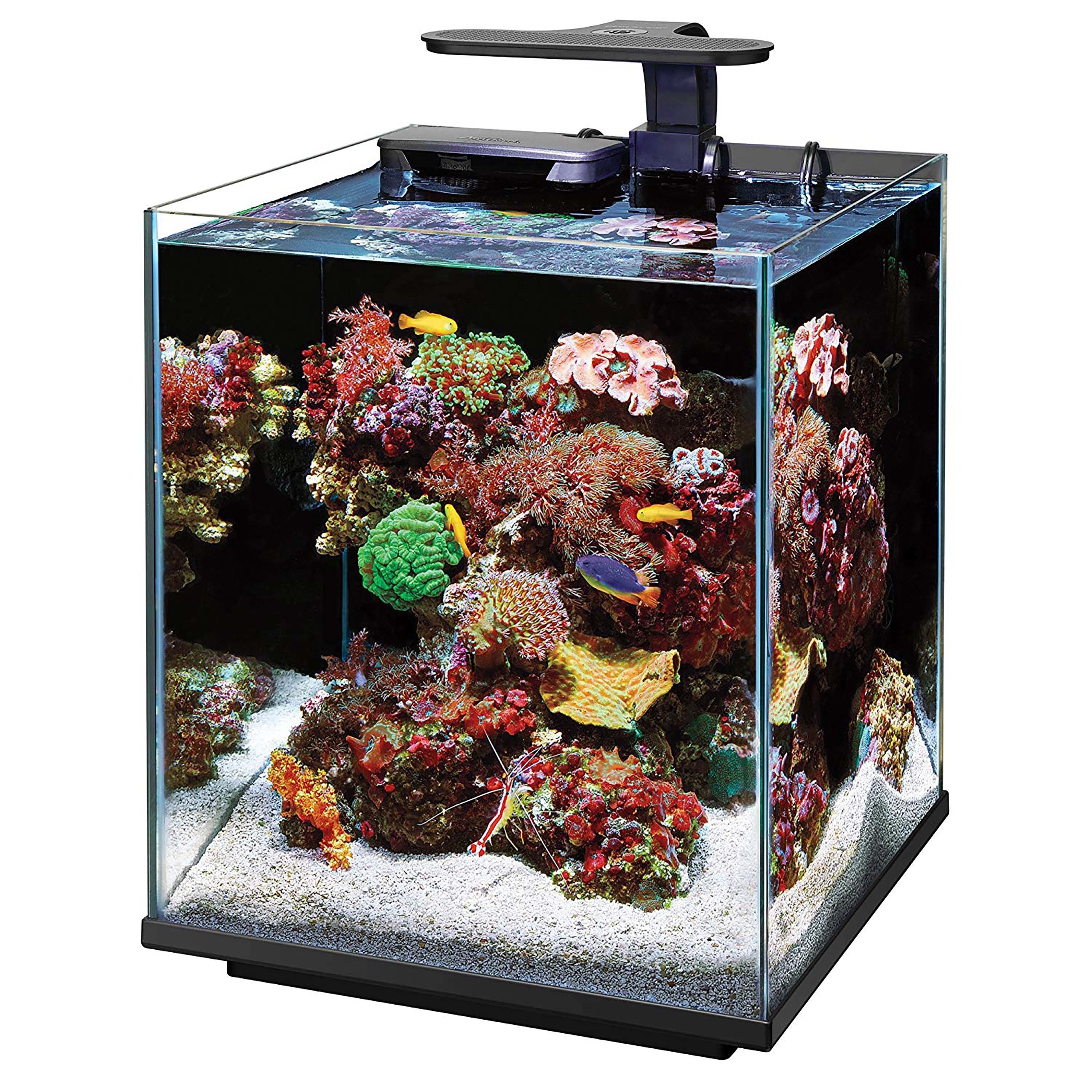 Coralife Clip-On Marine Aquarium LED Light Fixture