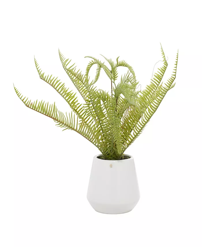 Rosemary Lane Contemporary Fern Artificial Plant， 13.8