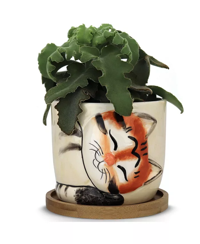 Window Garden Animal Planters - Large Kitty Pot (Tigger) Purrfect for Indoor Live House Plants， Succulents， Flowers and Herbs， Super Cute Planter Gift