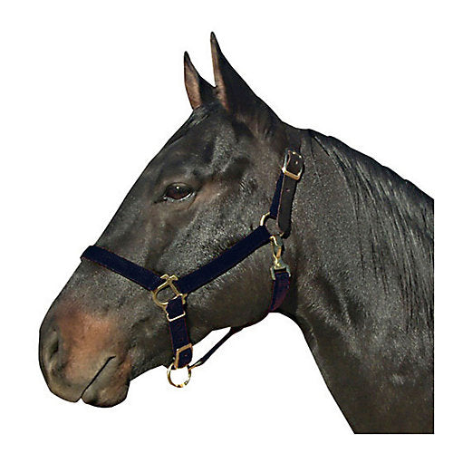 Fabtron Breakaway Crown Halter w/Snap Average Blac