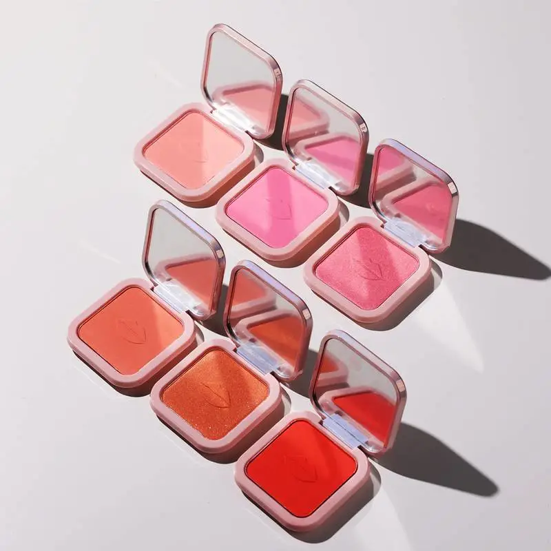 6 Color Vegan Makeup Cosmetics Single Blush Powder