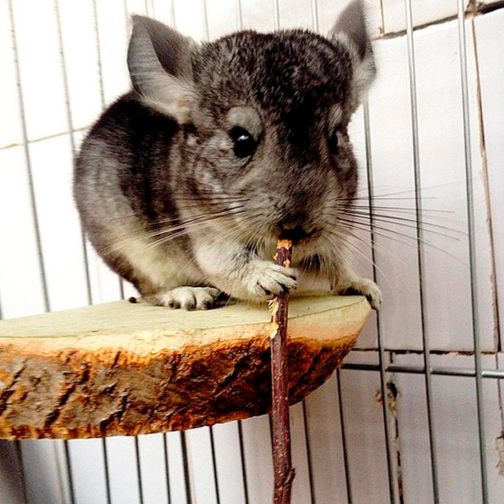 Willstar Wooden Hamster Chew Toy Set Gerbil Rabbit Guinea Pig Pet Playing Sports Accessories Dental Care