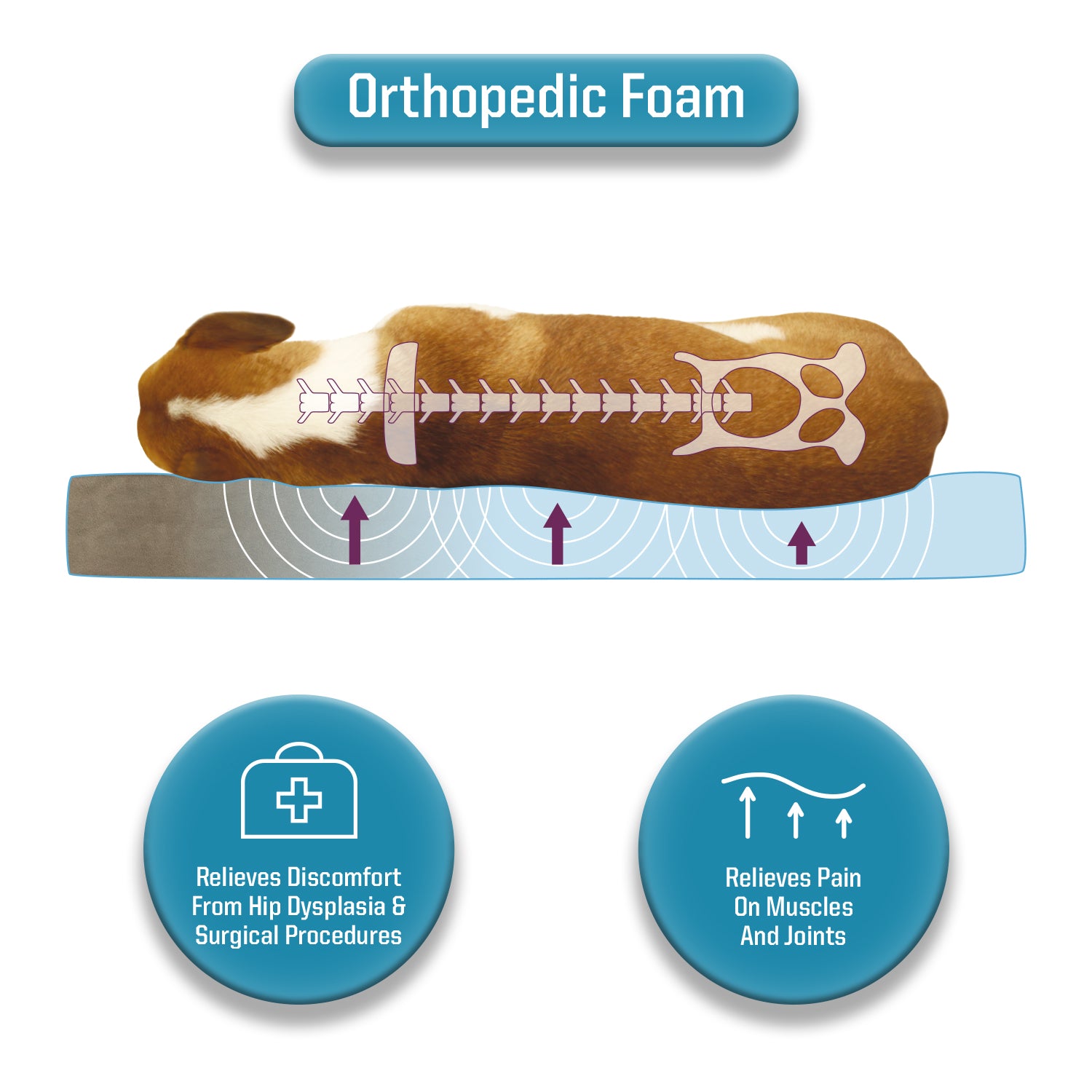 Canine Creations Arlee Pillow Rectangle Pet Dog Bed - Orthopedic Therapeutic - Chew Resistant - Assembled USA - Medium/Large/Extra Large (choose your color)