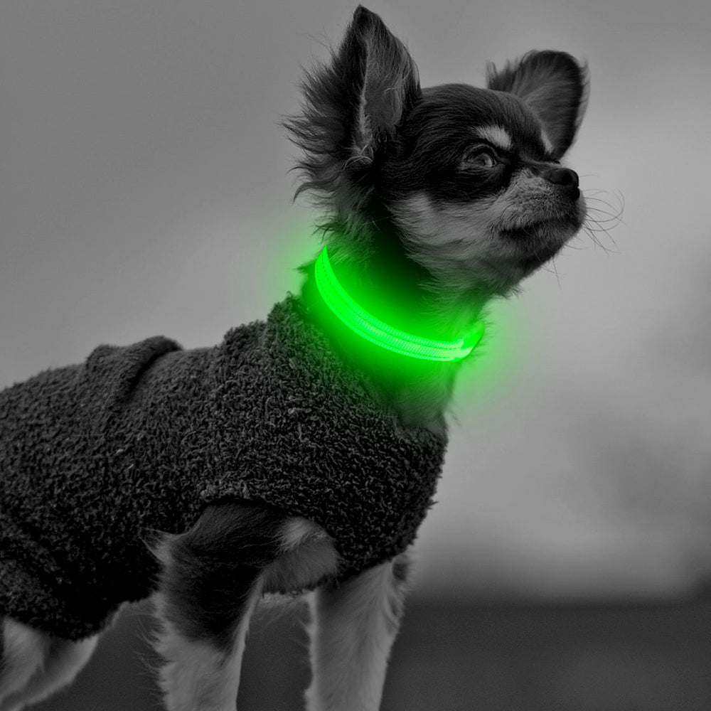 Bseen Small LED Dog Collar - USB Rechargeable Glowing Pet Collar for x-Small Dogsand Cats (Green)