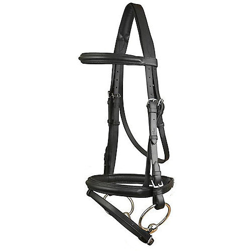 DaVinci Raise Comfort Dressage Bridle/Flash Horse