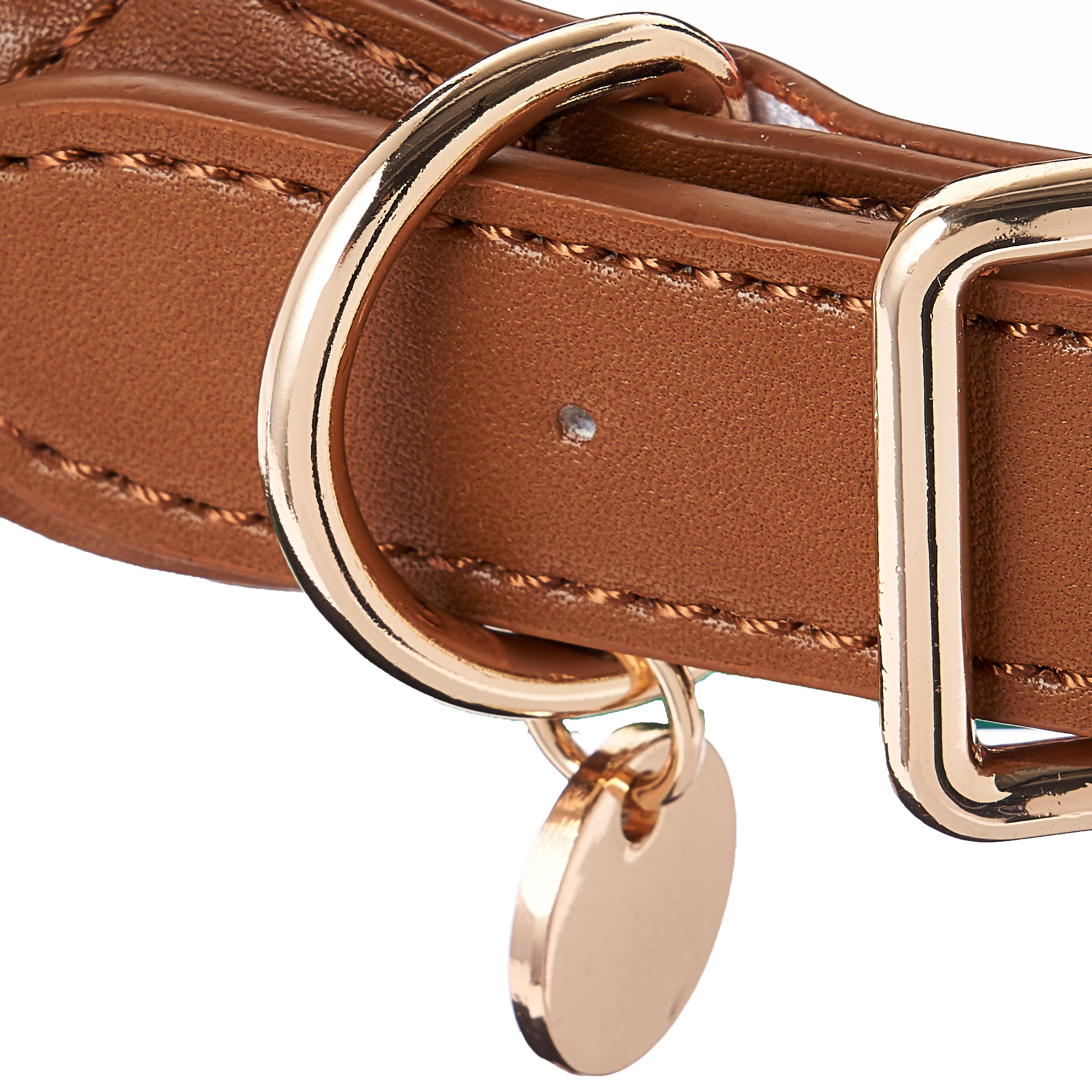 Vibrant Life Adjustable Rope Collar for Dogs， Multicolor， Large