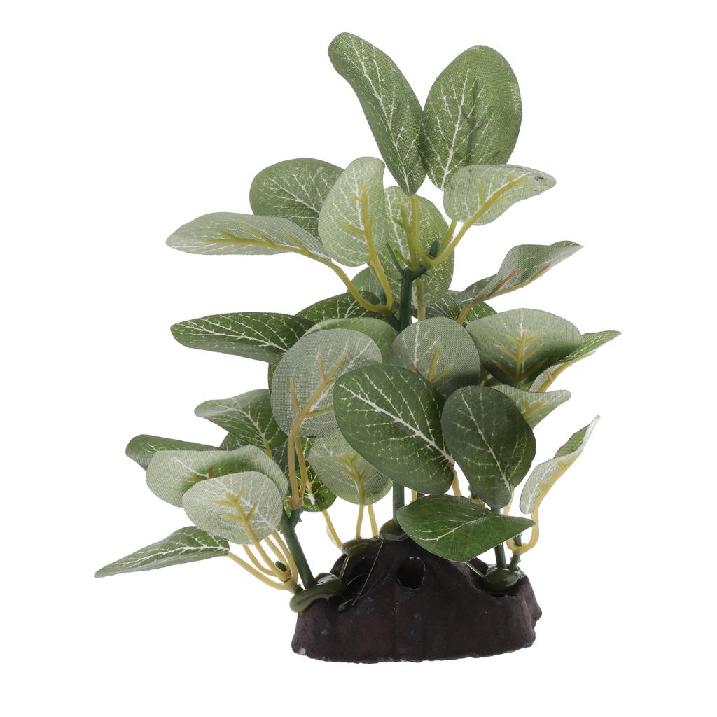 Terrarium Plant Bearded ，Lizards，Geckos， Reptile Habitat Type 2