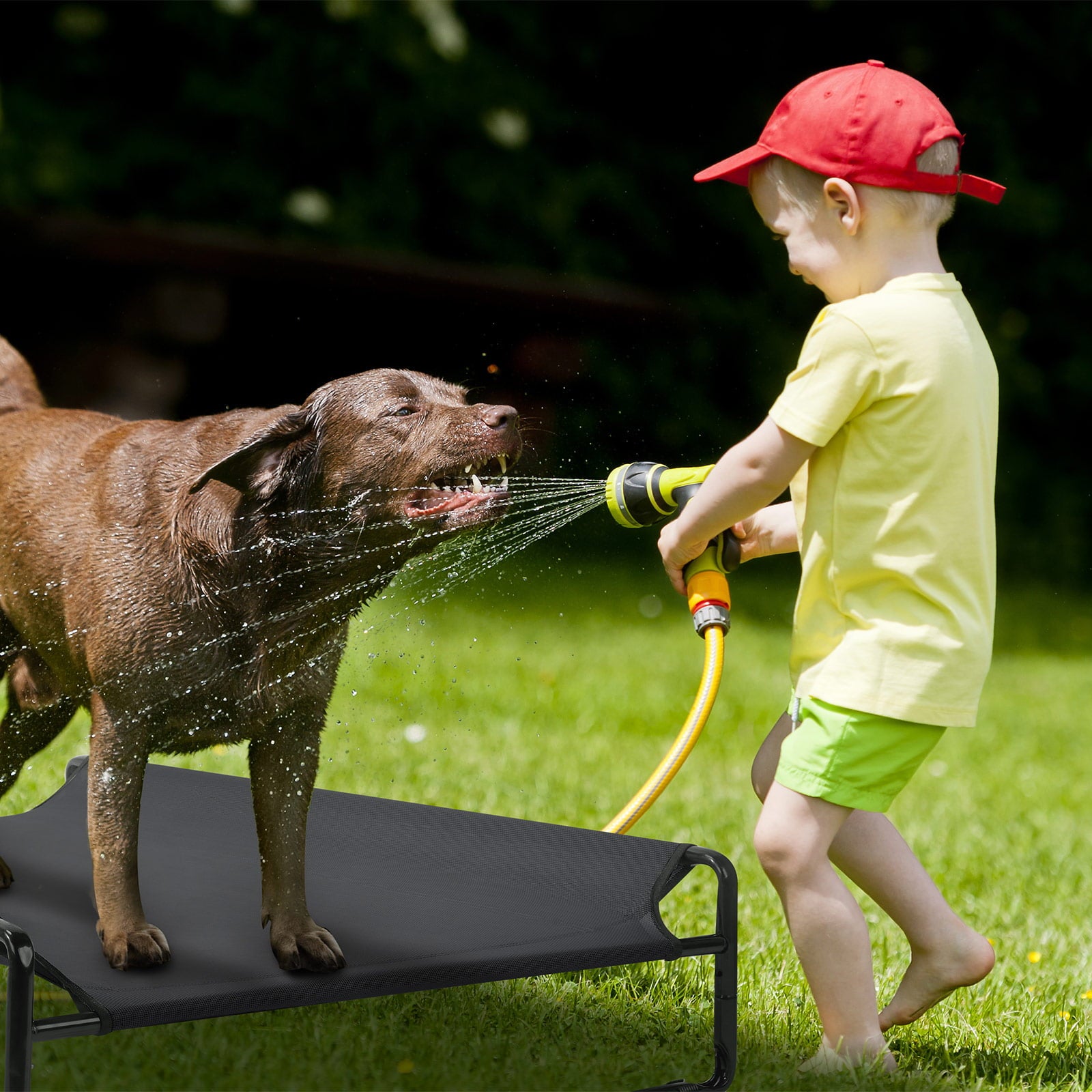 Veehoo Original Cooling Elevated Dog Bed， Raised Dog Cot with Washable Mesh， Medium， Black