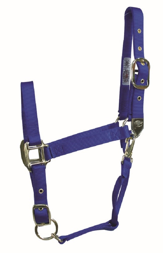 Western Rawhide Signature Classic Halter with Snap - Small Horse - Blue - with Brass coloured Zinc Die Cast Hardware