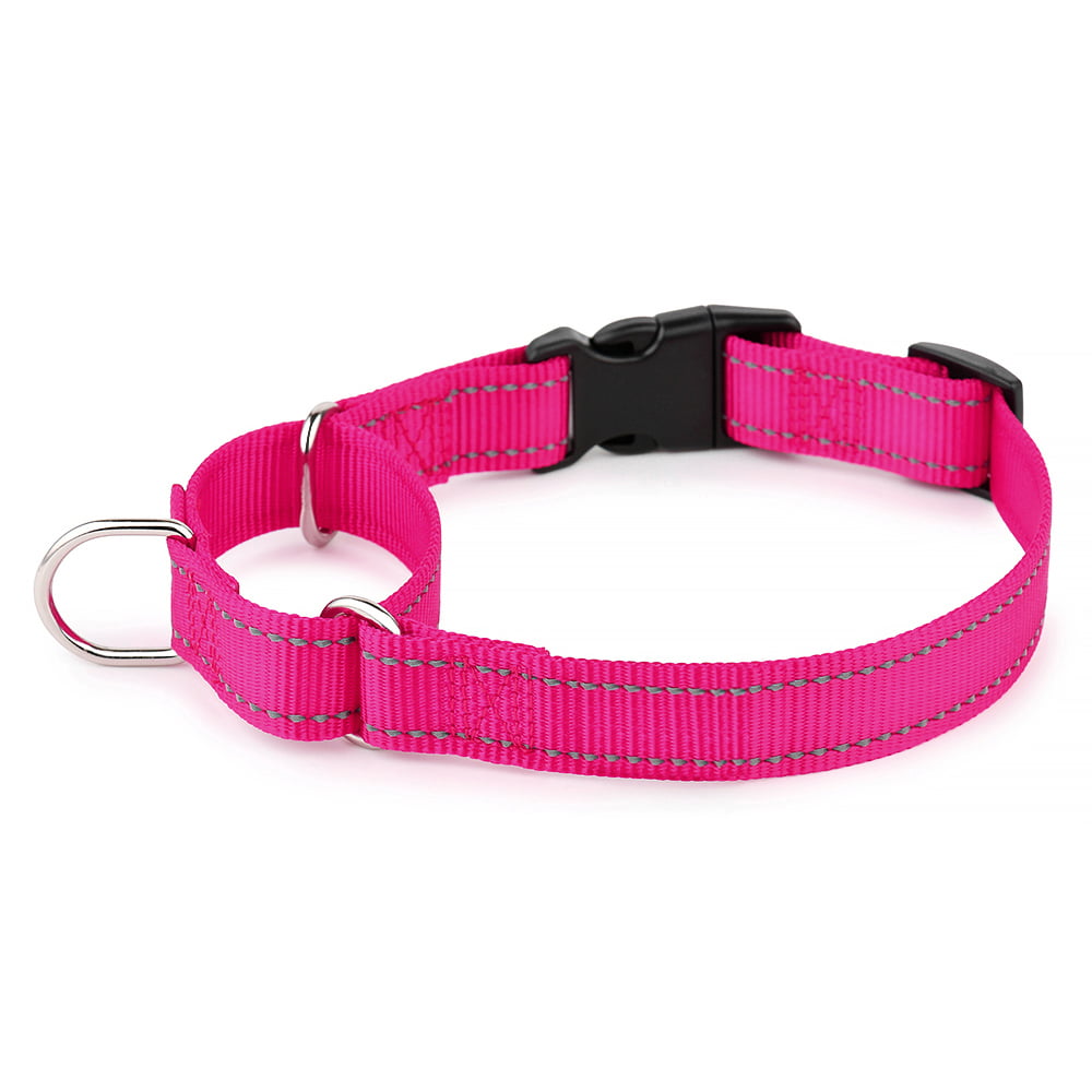 Plutus Pet Reflective Martingale Collar with Quick Snap Buckle