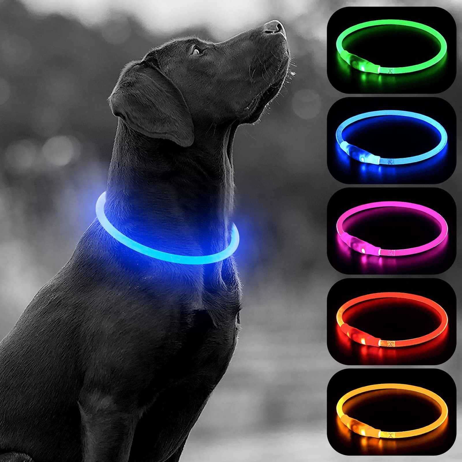 Light up LED Dog Collar - TPU Cuttable Glowing Puppy Cat Collar for Night Dog Walking