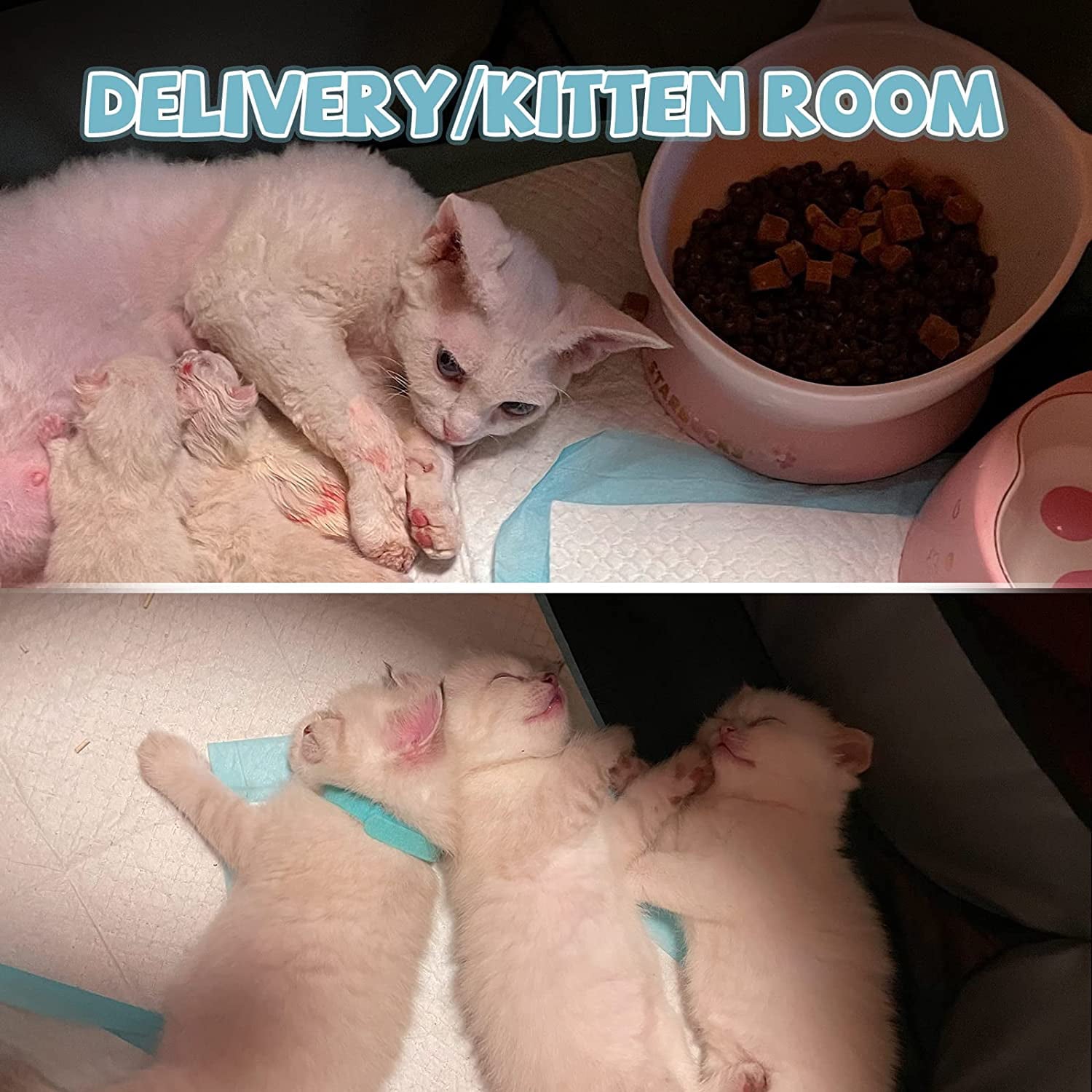 Portable Dog Playpen Puppy Playpen Indooor，Dog Pen Indoor Outdoor Foldable Cat Playpen Dog Playpen for Small Dogs Play Pens for Puppys Outdoor Cat Playpen， White and Gray