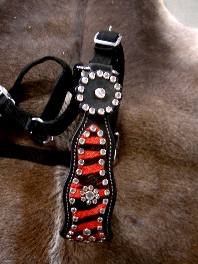 Horse  Noseband Tack Bronc Leather HALTER Tiedown Lead Rope  280325