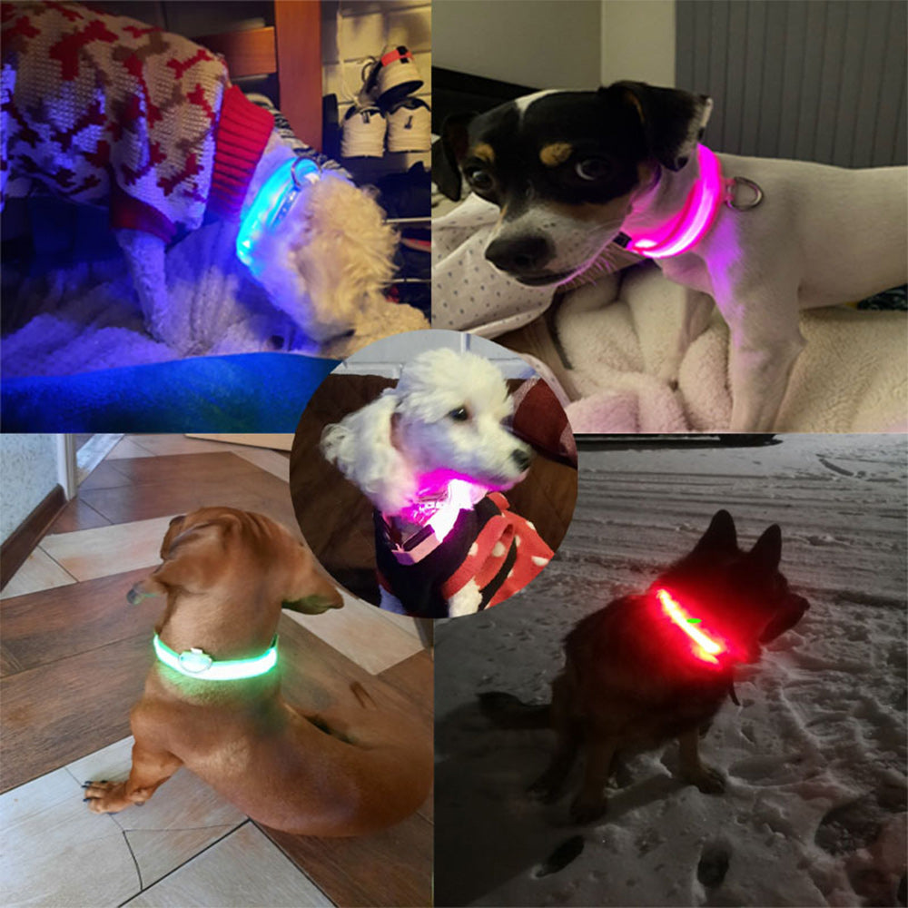Light Up Dog Collars-LED Dog Collar Rechargeable Lighted Dog Collar Waterproof Night Walking Glow Collar for Dogs (S， Green)
