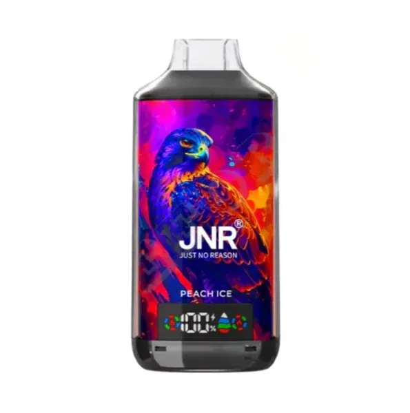 🔥JNR Falcon-X 18K 💨 Einweg-Vape mit Smart-Display