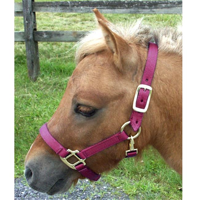 Mini Nylon Miniature Horse Halterand#44; Burgundy