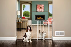 Carlson Pet Products Maxi Gate with Pet Door